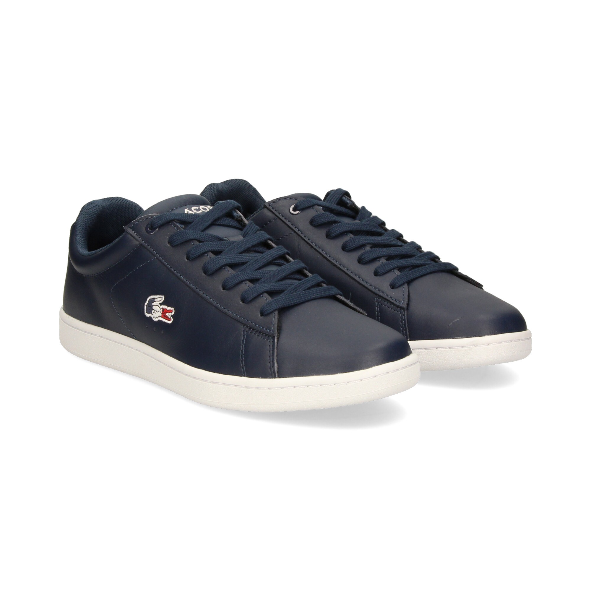 LACOSTE Basquette Homme CARNABY EVO PMG